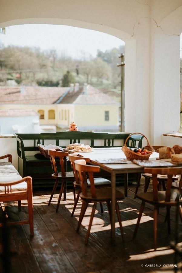 Stejarisu 195 Guesthouse Stejarisul Εξωτερικό φωτογραφία