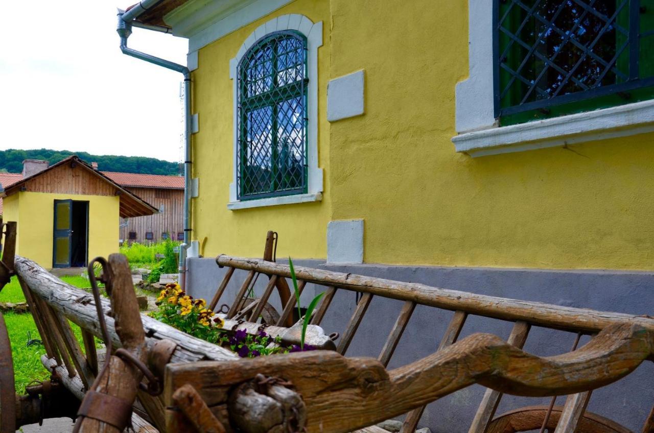 Stejarisu 195 Guesthouse Stejarisul Εξωτερικό φωτογραφία