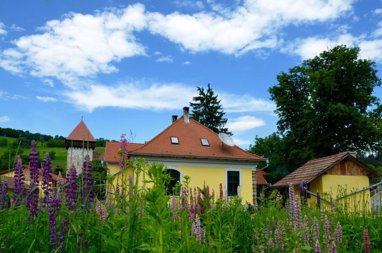 Stejarisu 195 Guesthouse Stejarisul Εξωτερικό φωτογραφία