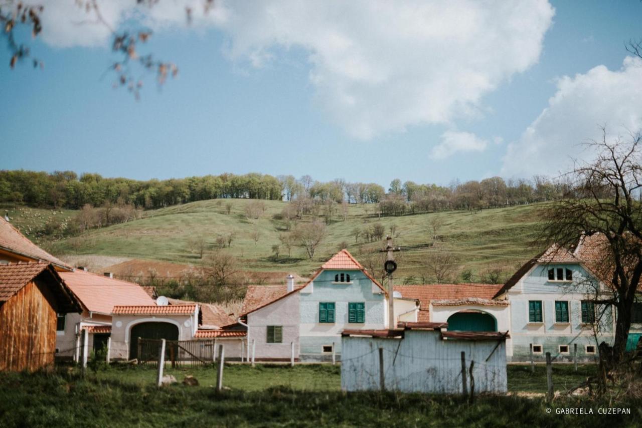 Stejarisu 195 Guesthouse Stejarisul Εξωτερικό φωτογραφία