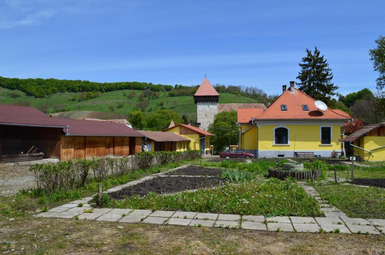 Stejarisu 195 Guesthouse Stejarisul Εξωτερικό φωτογραφία